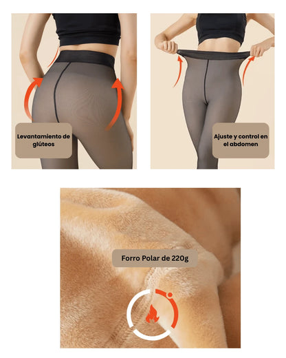 Zenella Medias termicas premium